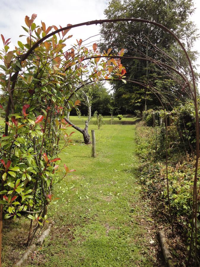 Glendine House Kilkenny Bed & Breakfast Luaran gambar